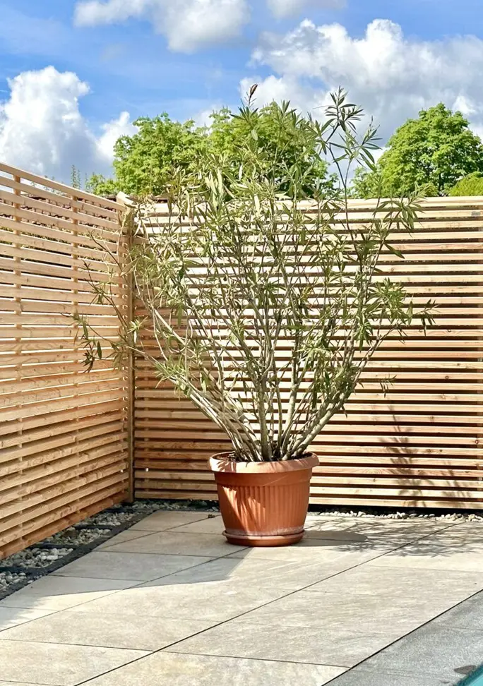 Sichtschutz für Terrasse
